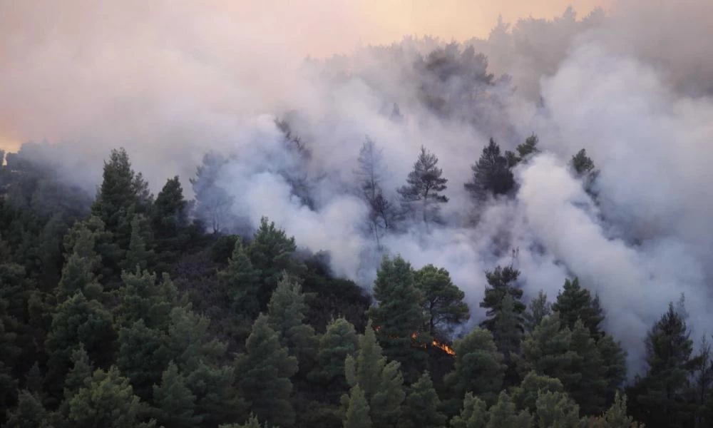 Φωτιές: Ποια και από που είναι η διεθνής βοήθεια που έχει λάβει η Ελλάδα